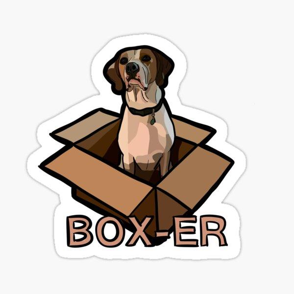 Boxer in a Box-er