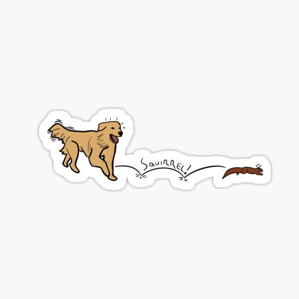 Dog Chasing Squirrel