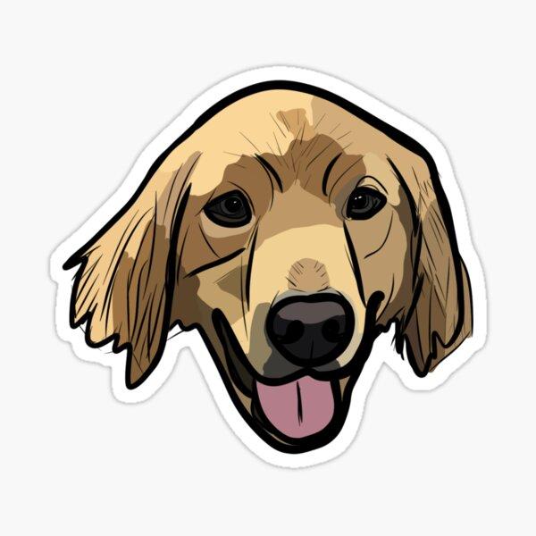 Golden Retriever Dog