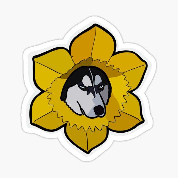 Husky in Yellow Flower