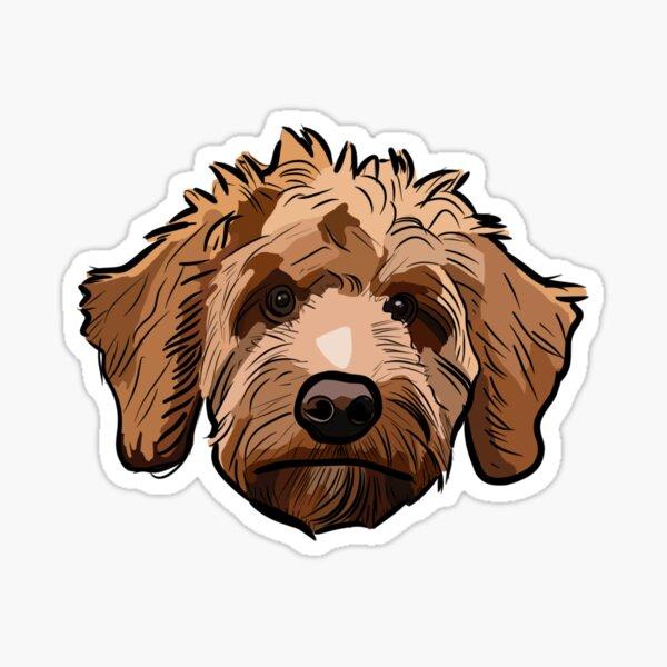Labradoodle Dog