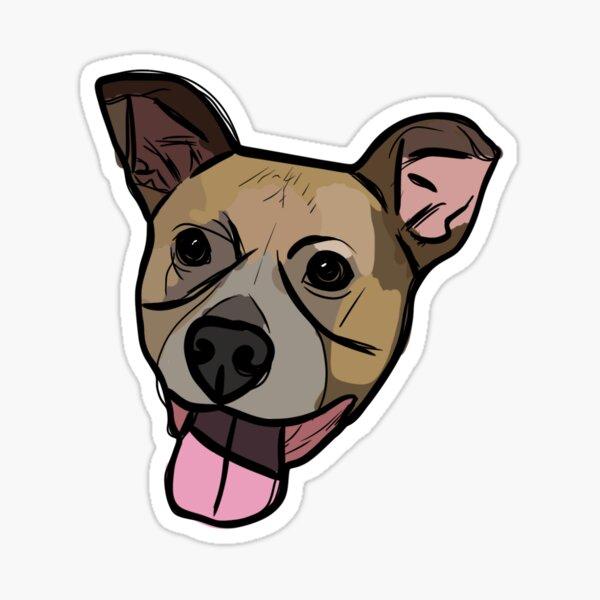 Pitbull Mix Dog